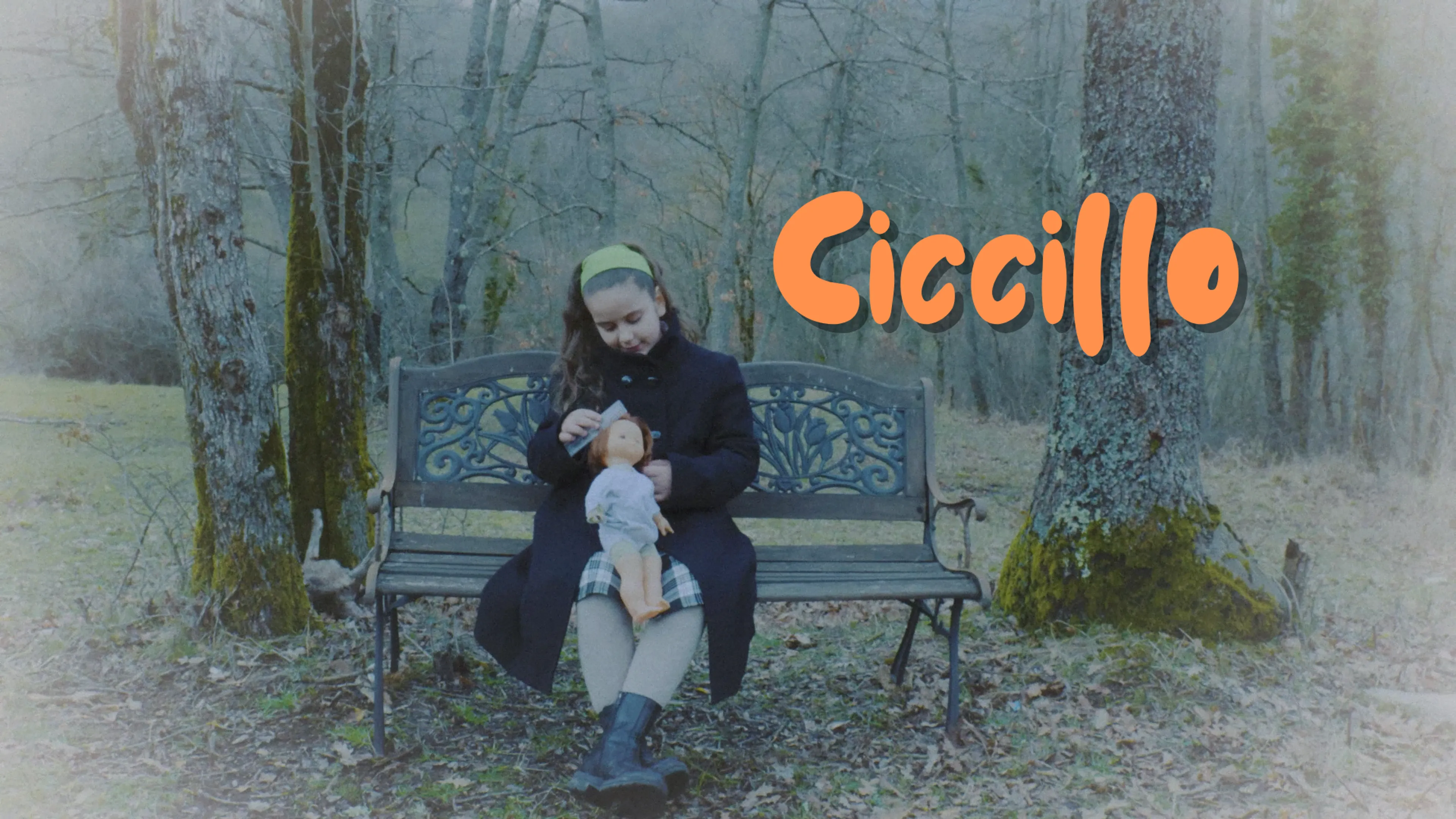 Ciccillo poster